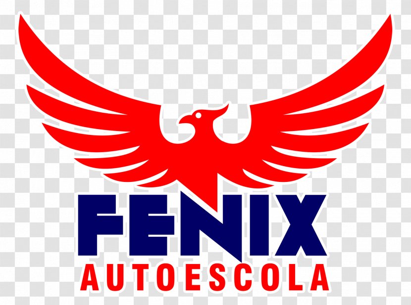 Autoescola Fenix Car Driver's Education Auto School Phoenix - Beak Transparent PNG