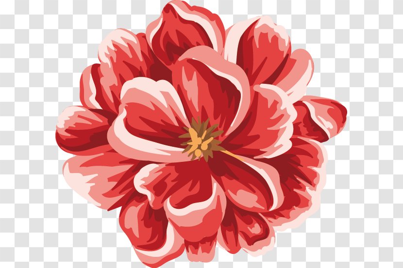 Flower Red - Cut Flowers - Vector Transparent PNG
