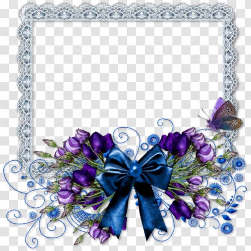 Picture Frames Photography Garden Roses Drawing - Moths And Butterflies - Good Evening Transparent PNG