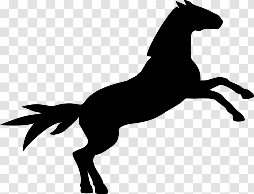 Horse Equestrian Show Jumping Clip Art - Sport Transparent PNG