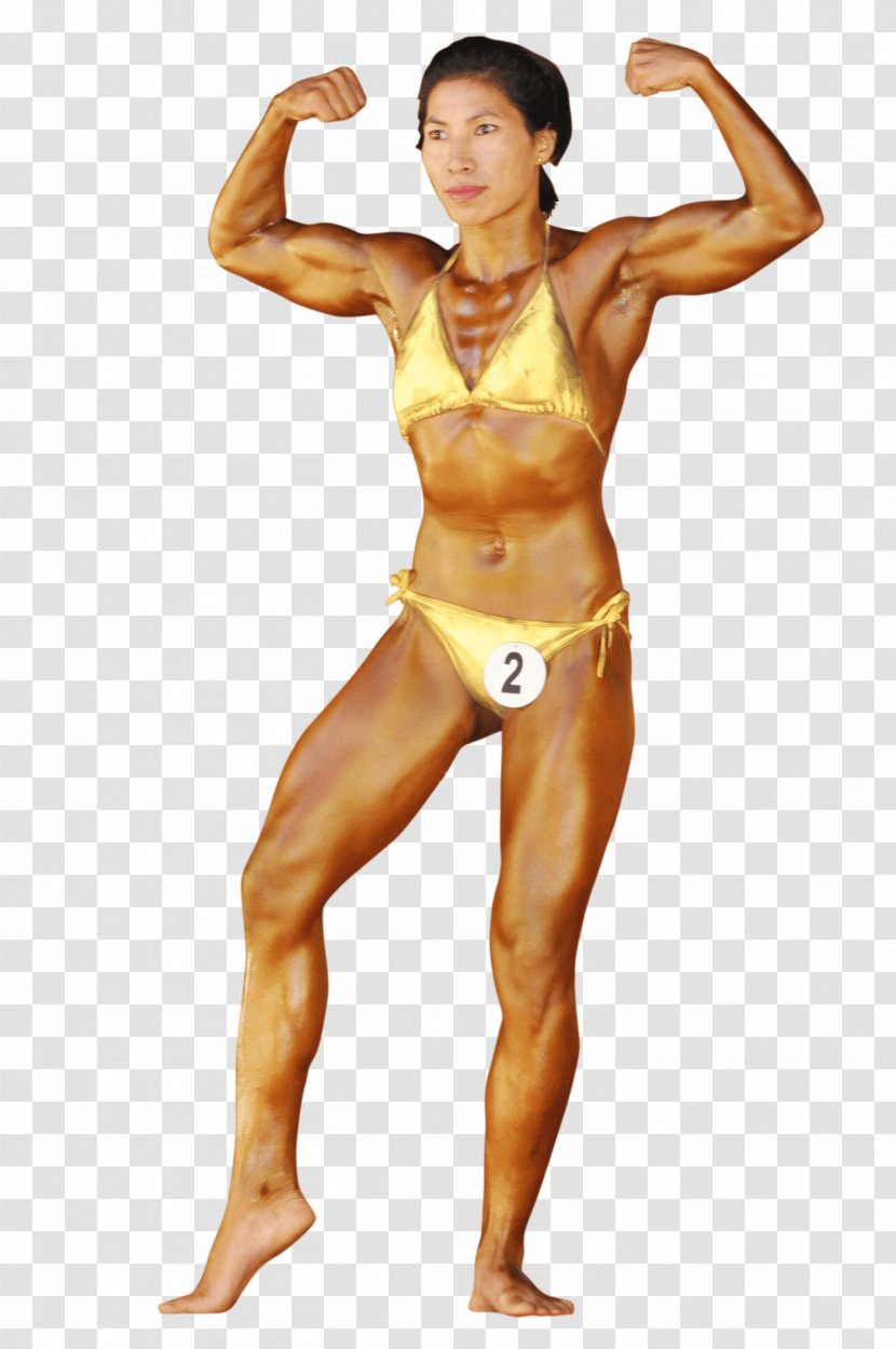 Physical Fitness Female Bodybuilding Woman And Figure Competition - Silhouette Transparent PNG