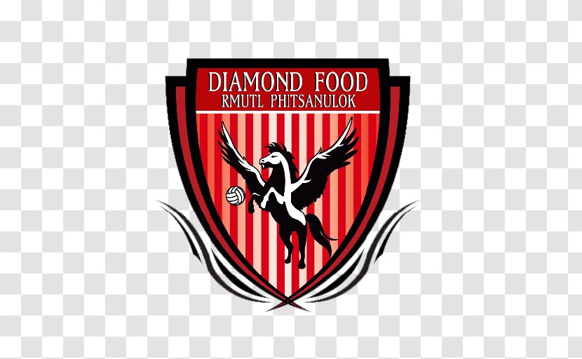Phitsanulok Volleyball Club Diamond Food Product Co., Ltd. - Sports - Players Transparent PNG