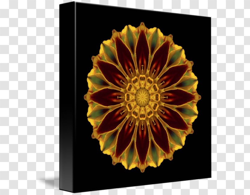Marigold Flower Mandala Window Imagekind - Sunflower Seed Transparent PNG