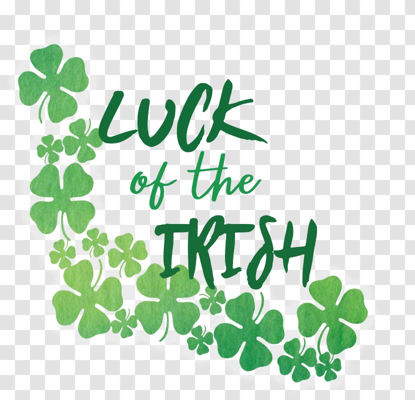 Four-leaf Clover Irish People - Flowering Plant - St Patrick's Day Transparent PNG