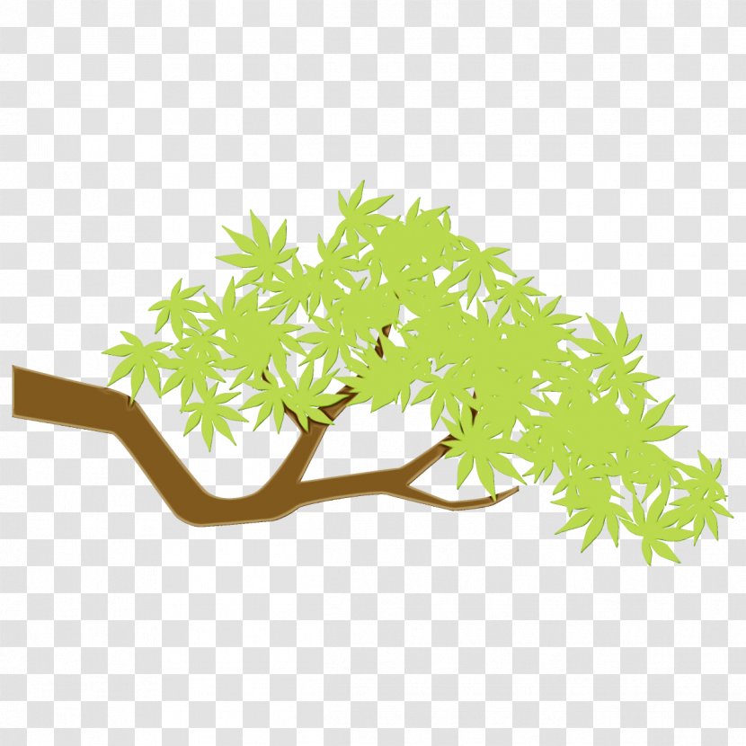 Green Leaf Plant Branch Tree - Grass - Stem Flower Transparent PNG