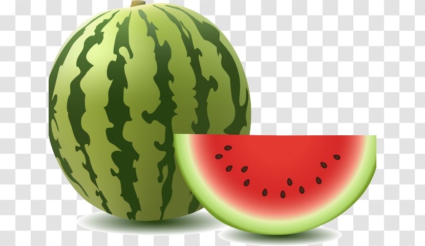 Watermelon Vector Graphics Image Fruit Clip Art - Juicy Cantalope Transparent PNG