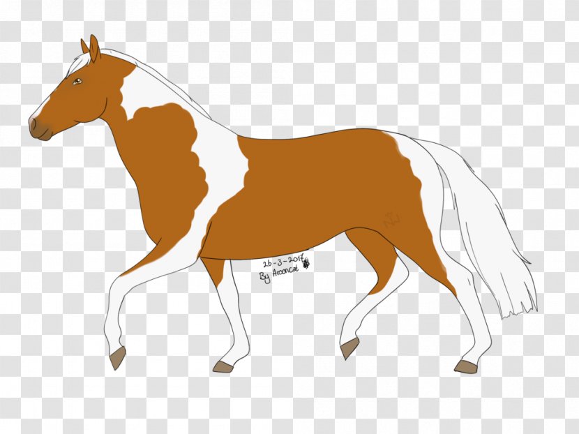 Mustang Foal Stallion Colt Rein - Horse Like Mammal Transparent PNG