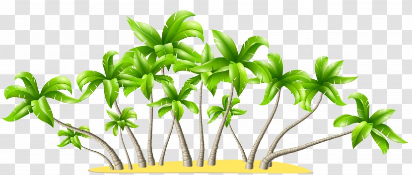 Leaf Flower Plant Stem Pant-hoot Tree - Coconut - Palm Trees Clipart Transparent PNG