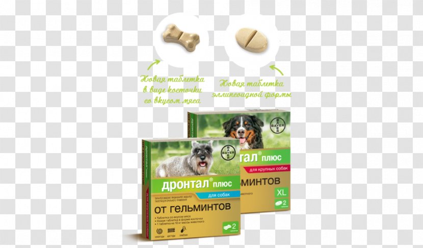 Dog Pharmaceutical Drug Bayer Tablet Disease - Helminths - Bone Transparent PNG