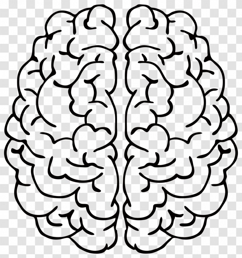 Line Art Brain Drawing Clip - Cartoon Transparent PNG