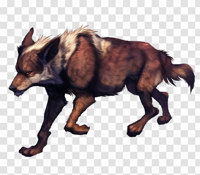 Dog Breed Fauna Fur Transparent PNG