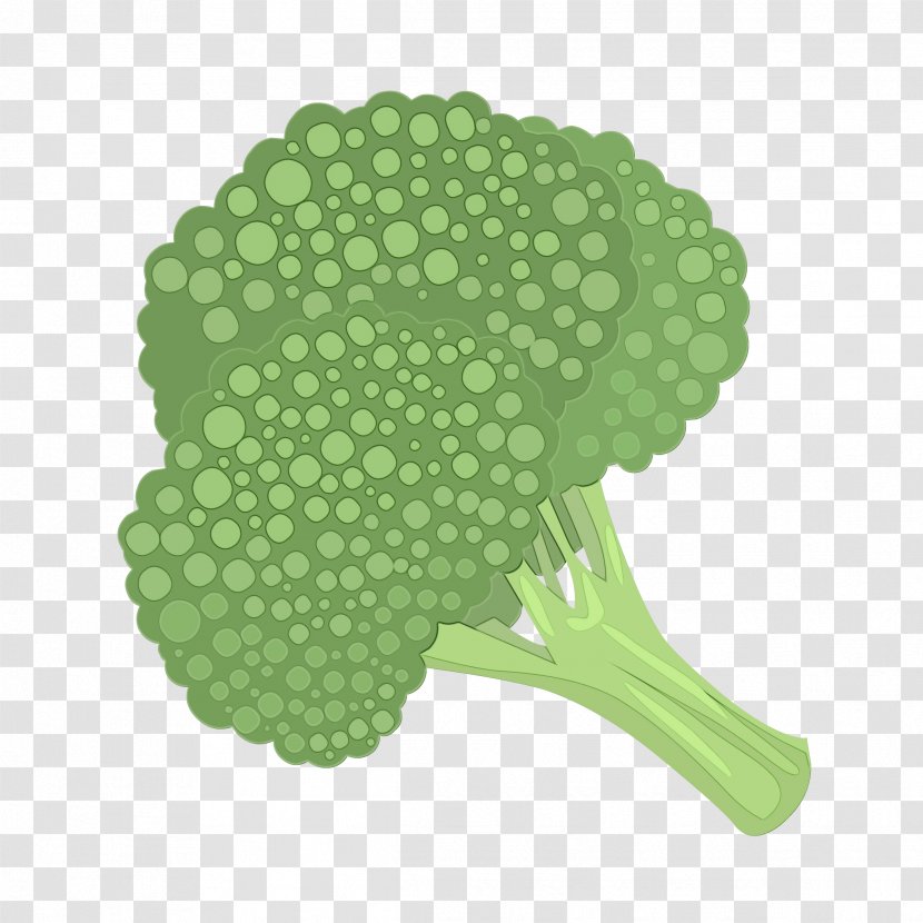Green Broccoli Cruciferous Vegetables Leaf Vegetable - Plant Transparent PNG
