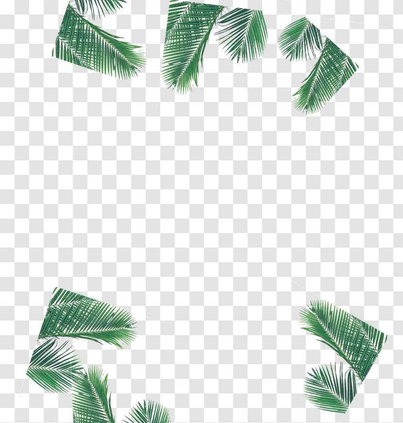 Guyu Leaf - Green - Valley Rain Decorated Leaves Transparent PNG