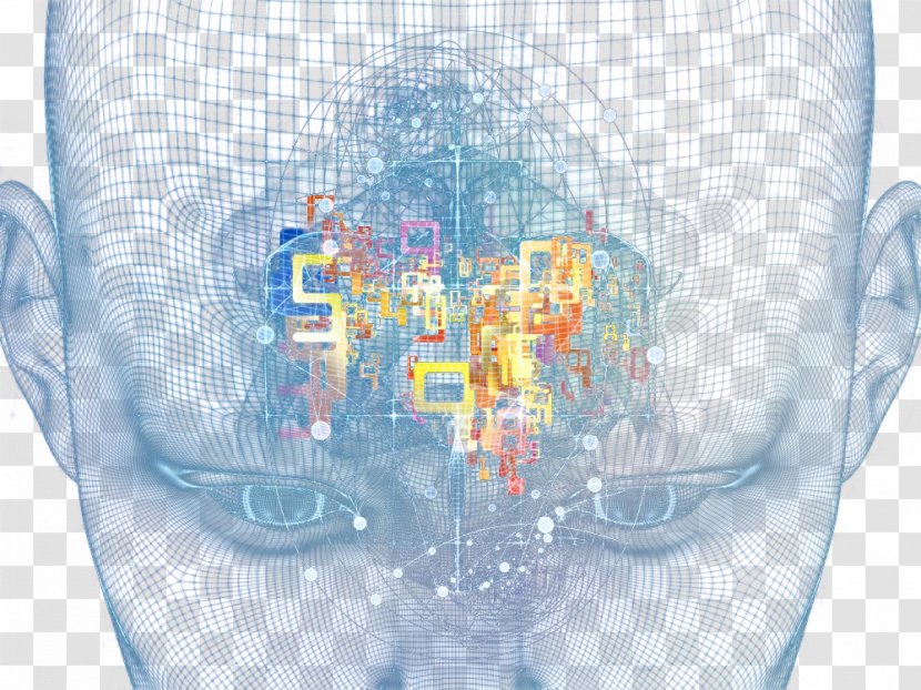 Plastic Glass Blue - Brain Model Transparent PNG