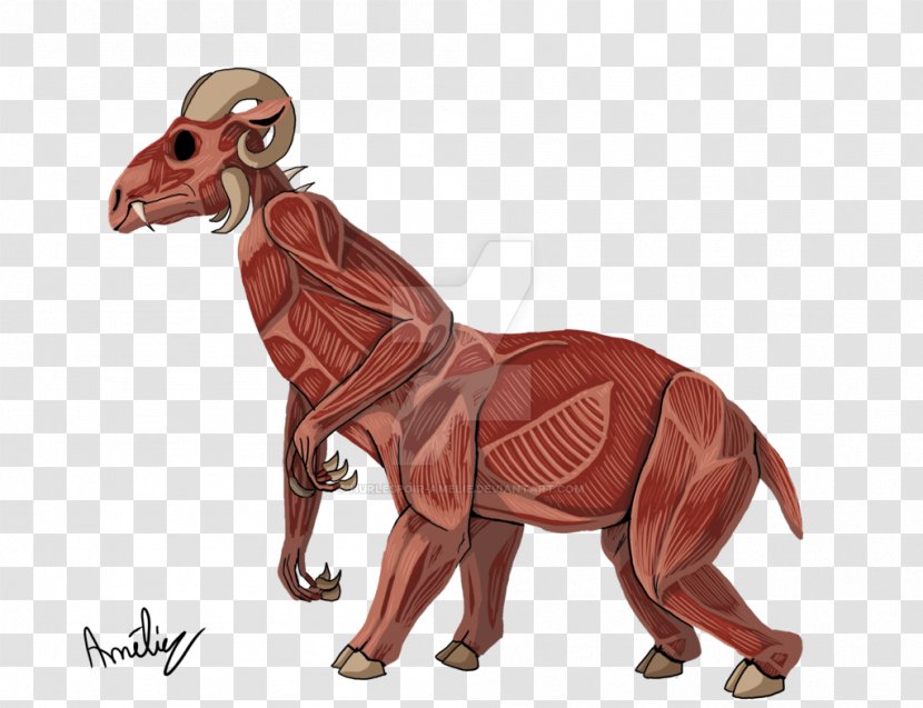 Carnivora Terrestrial Animal Dinosaur Wildlife - Anatomy Muscle Transparent PNG
