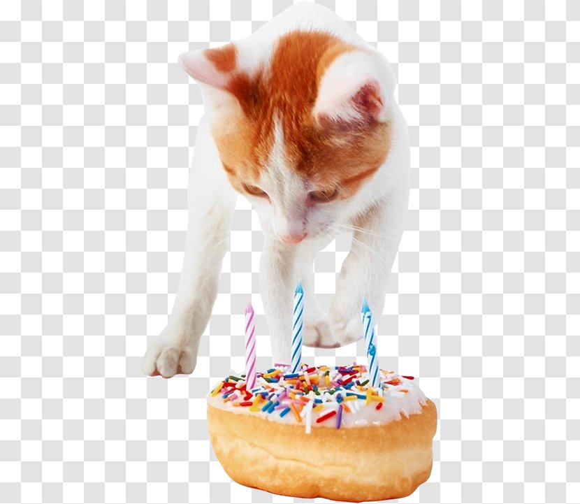 Birthday Cake Cat Whiskers Kitten Transparent PNG