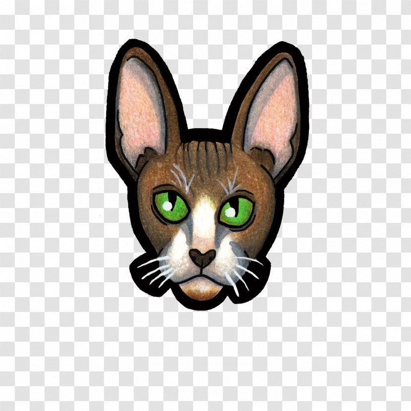 Whiskers Cornish Rex Kitten Tabby Cat Abyssinian - Fauna Transparent PNG