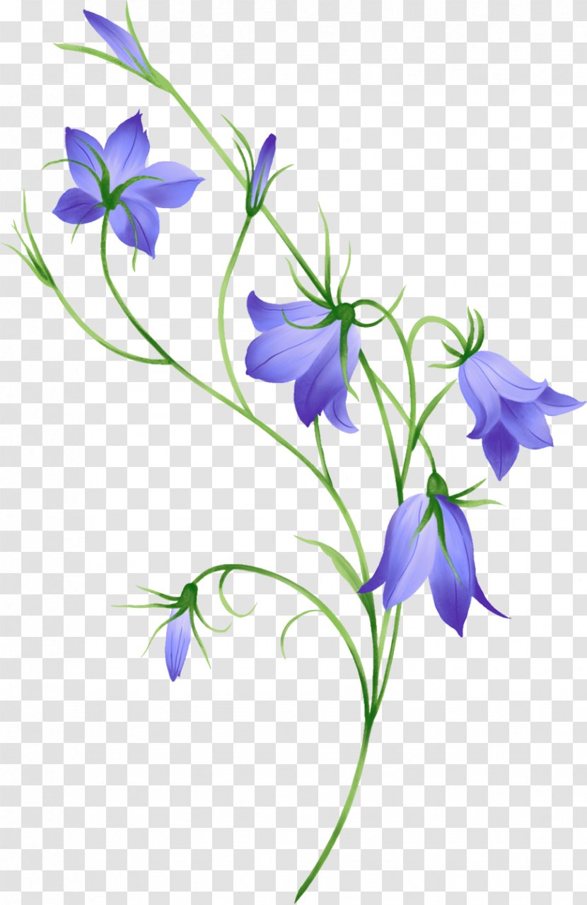 Flower Clip Art - Flora - Bell Transparent PNG