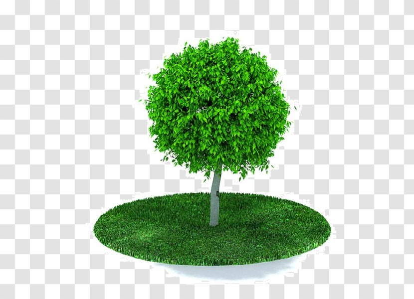 Tree Wavefront .obj File AutoCAD DXF Clip Art - Arbor Day Transparent PNG