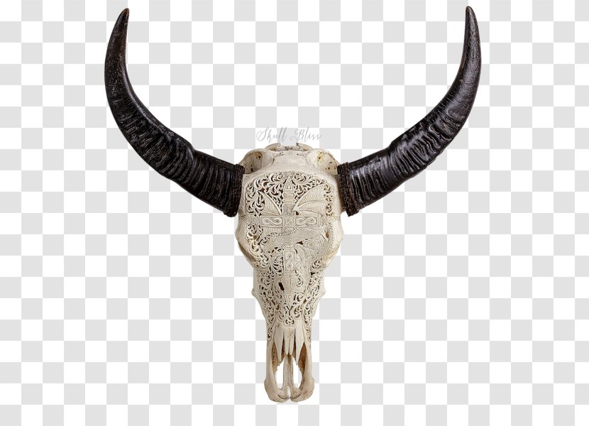 Cattle Horn Human Skull Symbolism Animal Skulls - Buffalo Transparent PNG