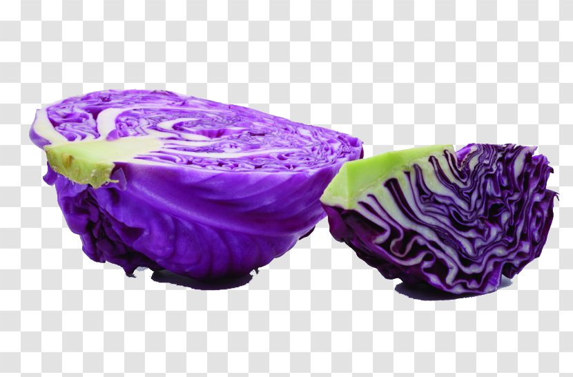 Red Cabbage Juice Brussels Sprout Savoy - Petal - Purple Kale Transparent PNG