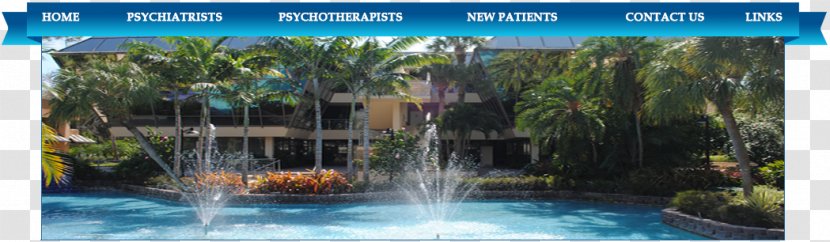 Boca Raton Psychiatric Group Psychiatrist Psychiatry Mental Health Professional - Recreation Transparent PNG
