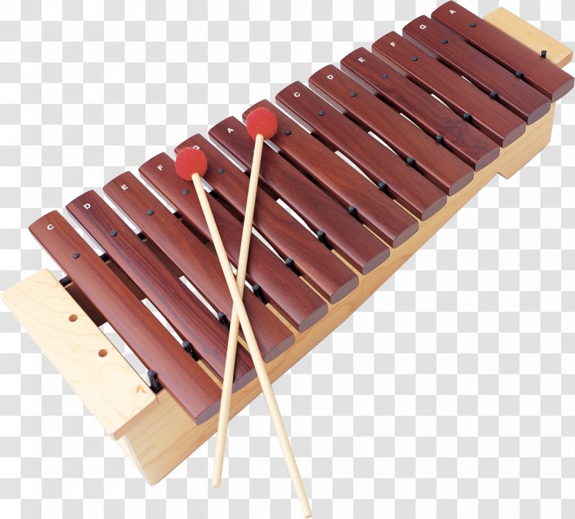 Xylophone Musical Instruments Percussion Mallet - Frame Transparent PNG