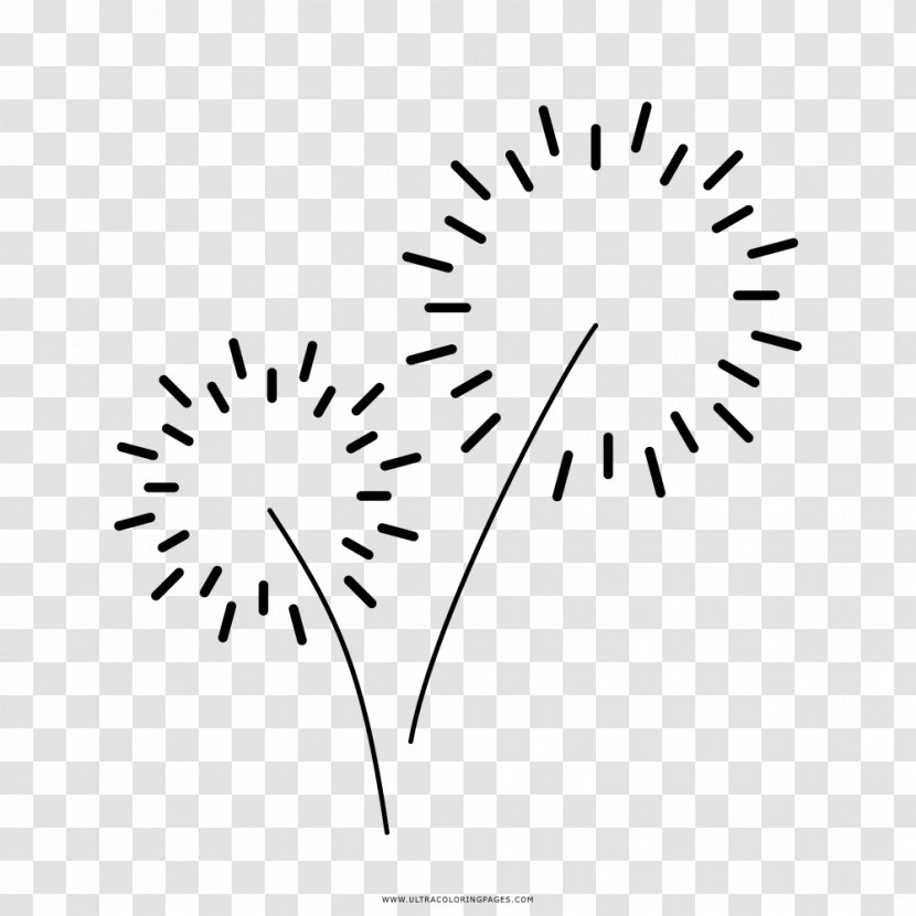 Drawing Fireworks Black And White - Flower Transparent PNG