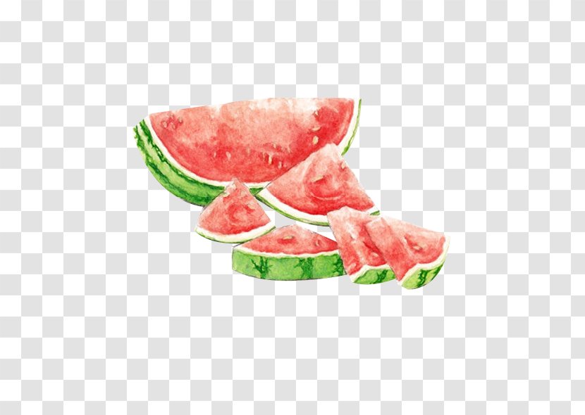 Watermelon Watercolor Painting Drawing Seedless Fruit - Artist Trading Cards Transparent PNG