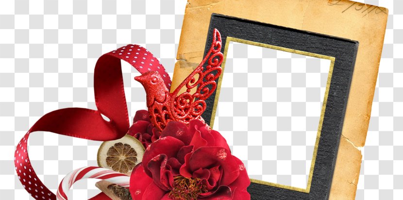 Picture Frames Floral Design Christmas Transparent PNG