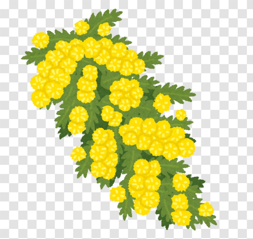 Tansy Television Show You've Come A Long Way, Baby Blog - Fruit - Yellow Transparent PNG