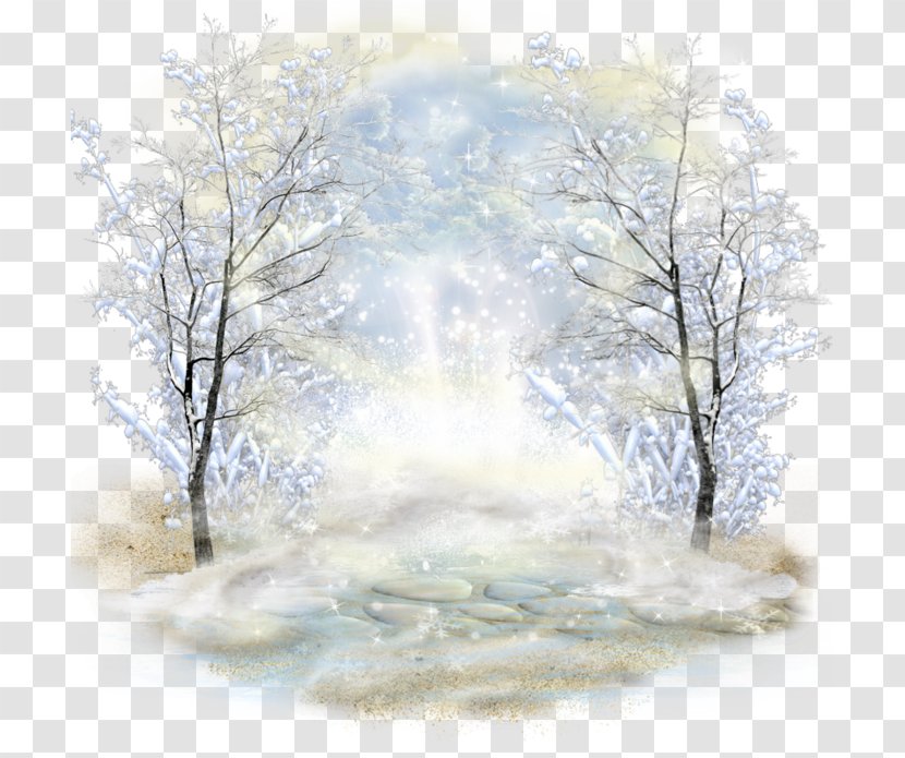 Winter Desktop Wallpaper - Woman Transparent PNG