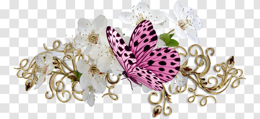 Book Clip Art - Pink - Butterfly Transparent PNG