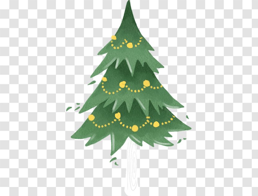 Christmas Tree - Fir - Pine Family Transparent PNG