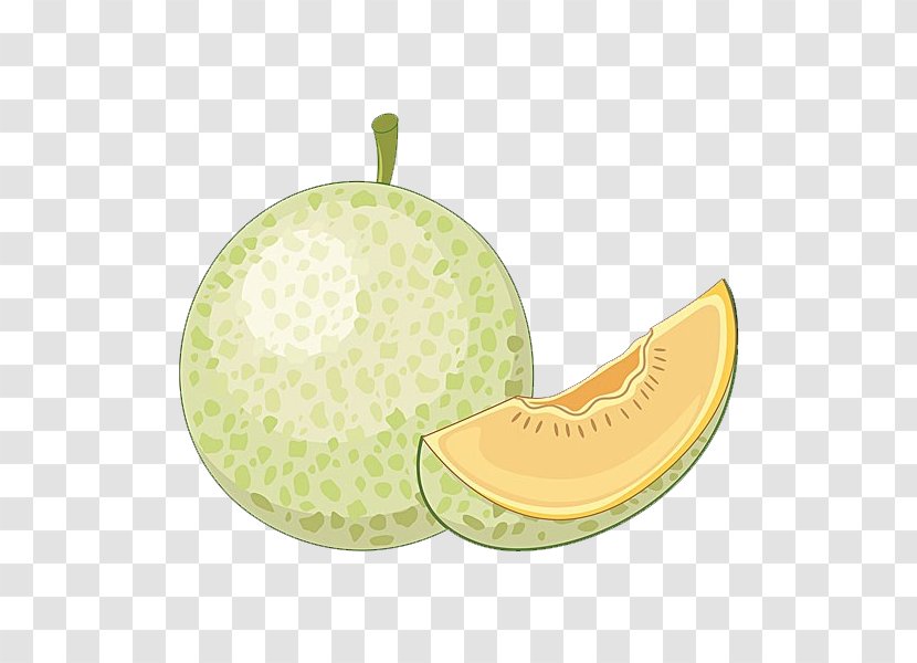 Melon Cartoon - Hami - Material Transparent PNG