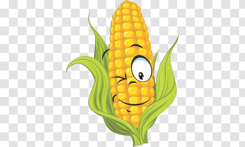 Corn On The Cob Drawing Vector Graphics Maize Clip Art - Kernel - Sweet Transparent PNG