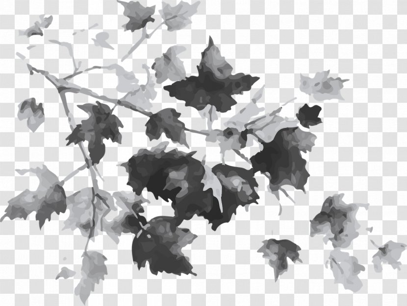 Maple Leaf Tree Autumn Drawing - Plant - Leaves Transparent PNG