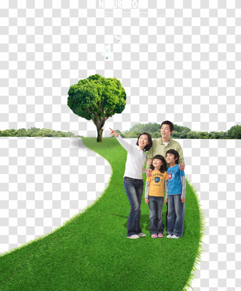 Green Download - Energy - A Person Standing On The Grass Transparent PNG