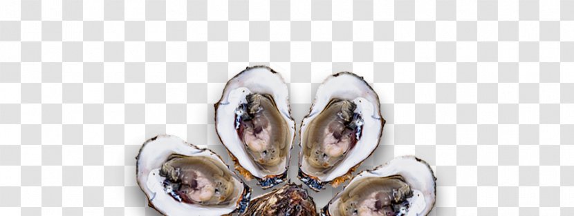 Oyster Mussel Body Jewellery - Seafood Transparent PNG