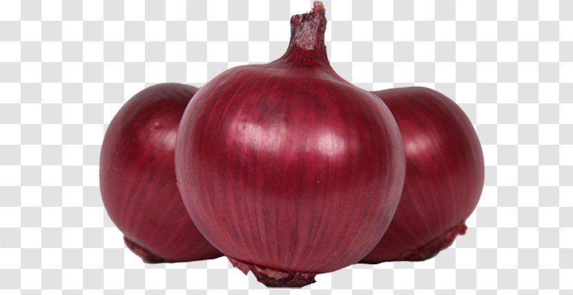 Vegetable Red Onion Food Potato Palak Paneer Transparent PNG