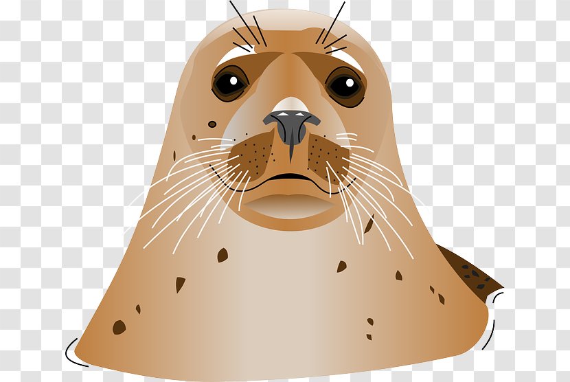 Earless Seal A Clip Art - Harbor Transparent PNG