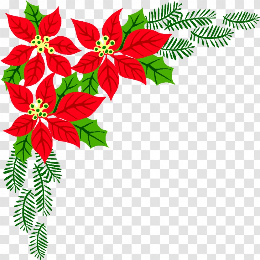 Poinsettia Christmas Flower Clip Art - Flowering Plant Transparent PNG