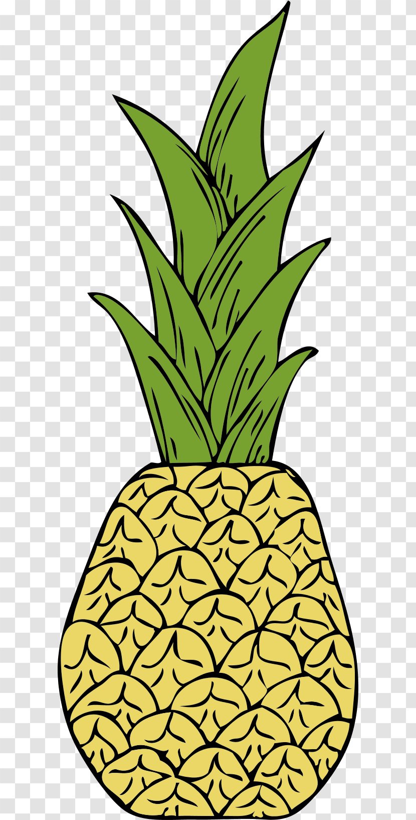 Pineapple Food Clip Art - Artwork - Pinapple Transparent PNG