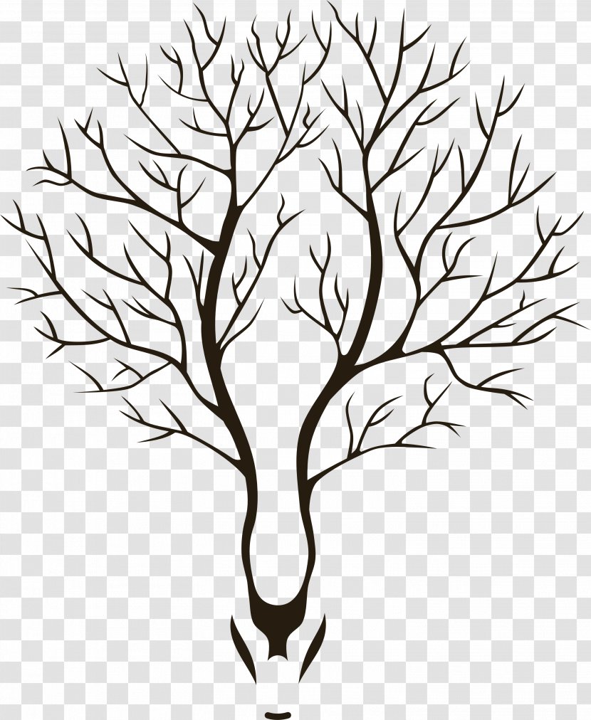 Twig Art Drawing Clip - Monochrome Photography - Whatcd Transparent PNG