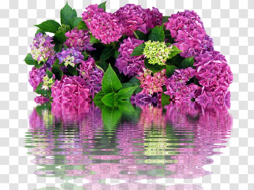 Purple Flower Wreath - Cut Flowers - Perennial Plant Pink Family Transparent PNG