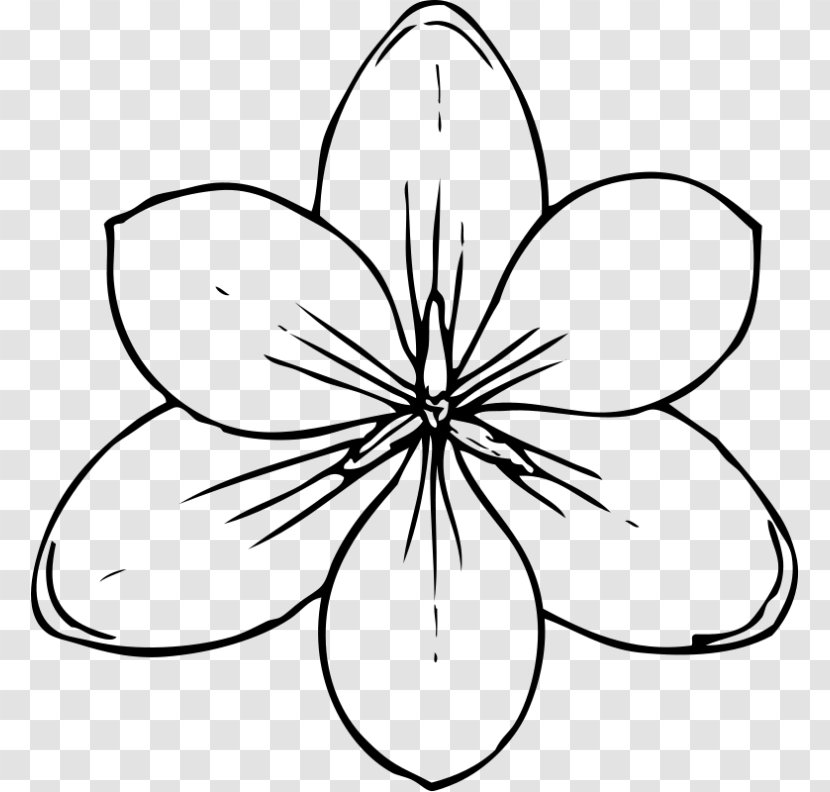 Drawing Line Art Flower Clip - Symmetry Transparent PNG