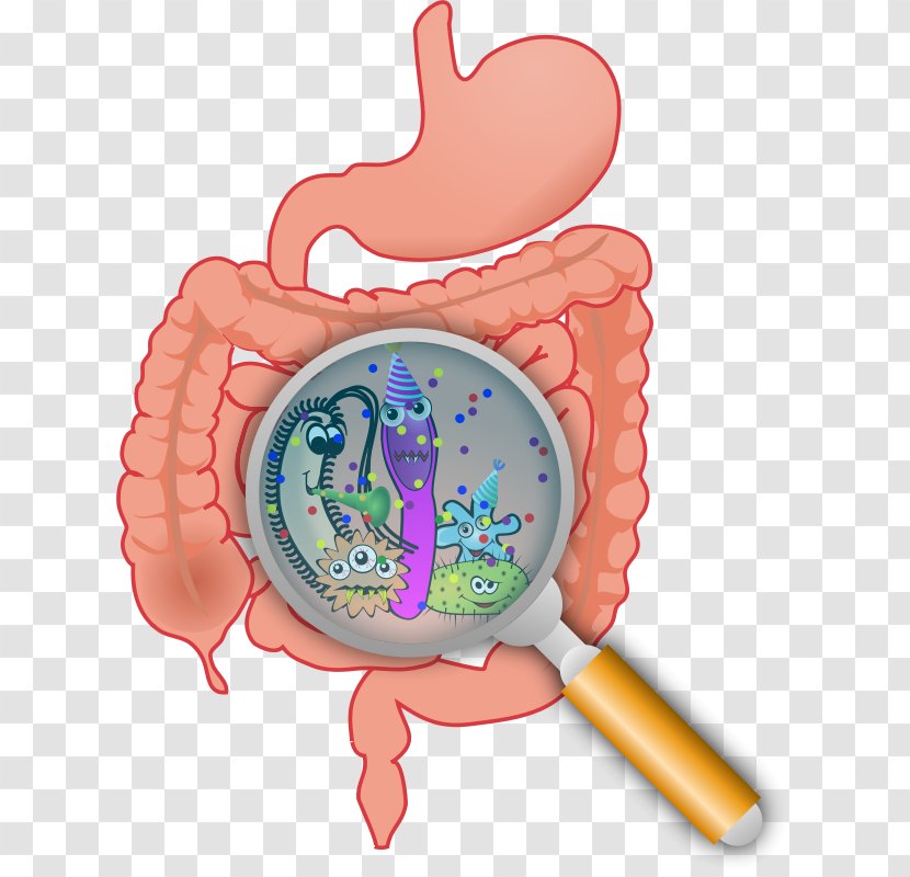 Gastrointestinal Tract Gut Flora Large Intestine Microbiota Small - Silhouette - Coin Purse Transparent PNG