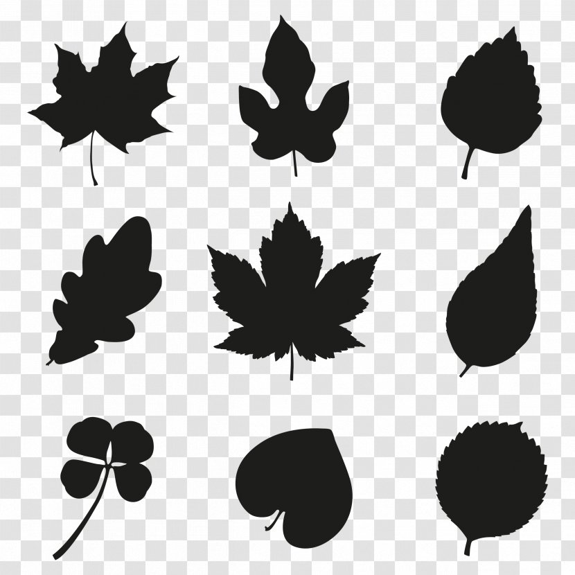Vector Graphics Silhouette Image Illustration Drawing - Plant - Black Background Transparent PNG