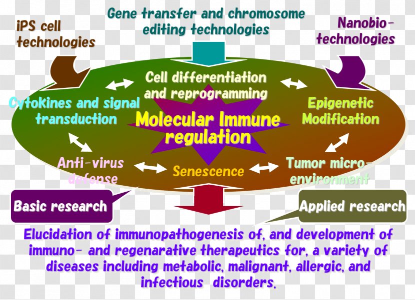 Human Behavior Organism Line Font - Homo Sapiens Transparent PNG