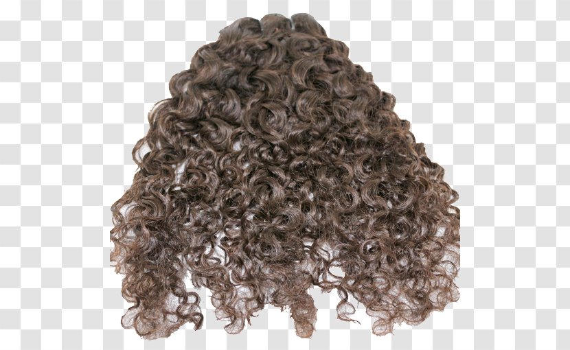Wig Long Hair Homo Sapiens - Human - Curly Transparent PNG